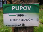 2015 Pupov